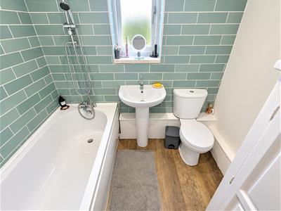 Picture 16